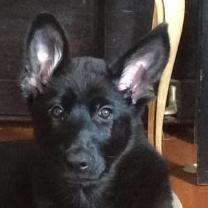 Meet your Posher, Judith